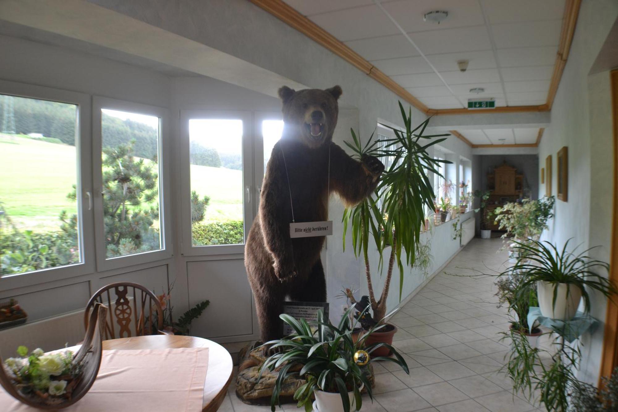 Landhotel Gasthof Wuellner Winterberg Exterior foto